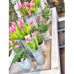 Vaser <br><br> vlg variant