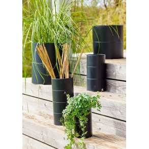 Vaser <br><br> vlg variant