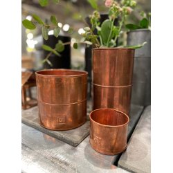 Vaser <br><br> vlg variant