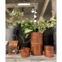 Vaser <br><br> vlg variant